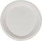 Paper Plates